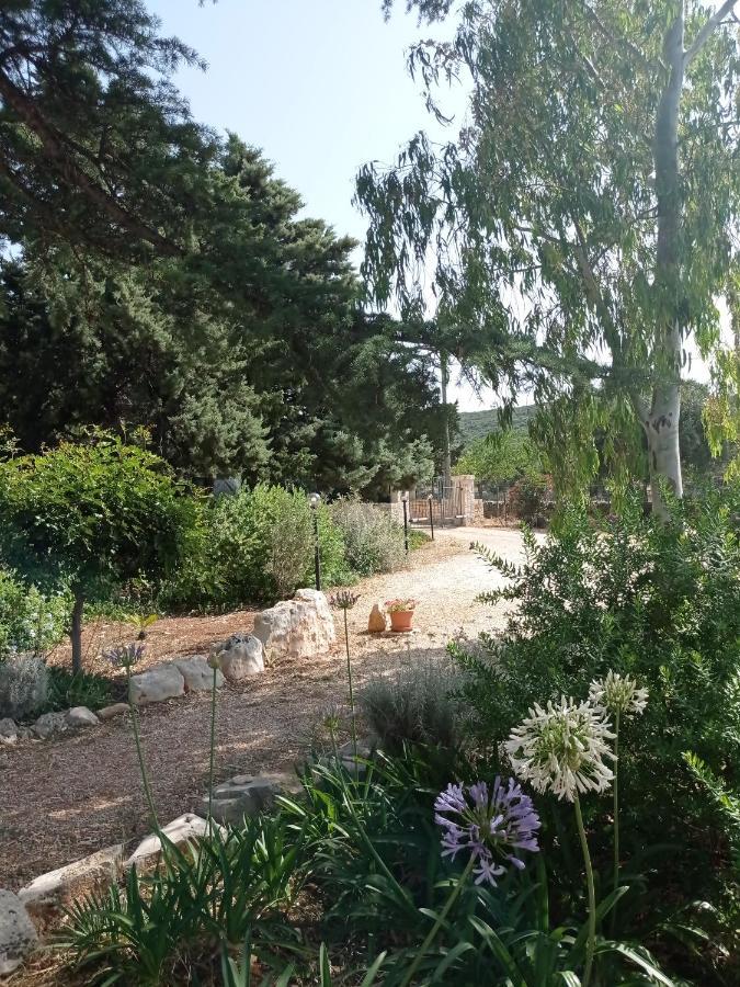 Dimora Dalia - Puglia Mia Holiday home Monopoli